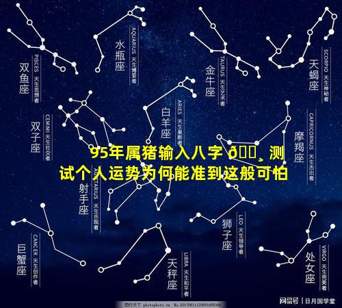 95年属猪输入八字 🕸 测试个人运势为何能准到这般可怕